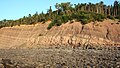 Channel body, sheet sandstones, and redbeds