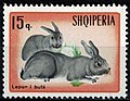 Stamp of Albania - 1967 - Colnect 331515 - Domestic Rabbit Oryctolagus cuniculus forma domestica.jpeg
