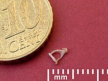 The size of the stapes, compared with a 10-cent euro coin. Stapes human ear.jpg