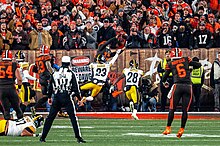 Duck's Dynasty? Backup Hodges leads Steelers by Browns 20-13