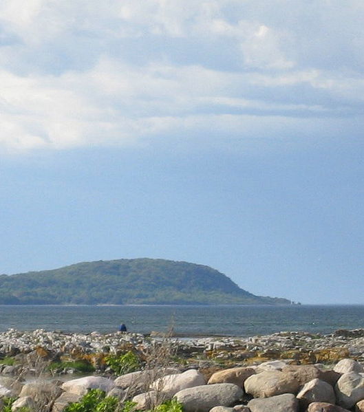 File:Stenshuvud från Baskemölla.jpg