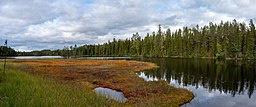 Holmtjärnen från södra sidan.