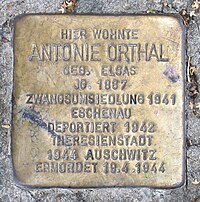 Stumbling stone Antonie Orthal Ludwigsburg Meraner Strasse 3 DSC 3618.JPG