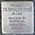 Struikelblok voor dr.  Ernö Winkler (Nagykanizsa) .jpg