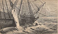 船に横付けした鯨から皮下脂肪等を獲る様子（1874年）