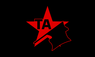 <span class="mw-page-title-main">Anarchist Struggle</span> Tekoşîna Anarşîst