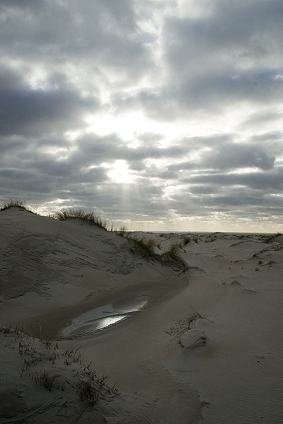 File:Texel - De Hors - View SW IV.jpg