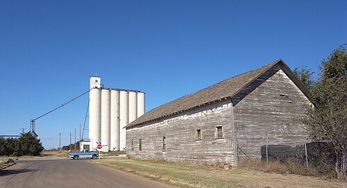 Texico chiropractor