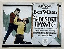 The Desert Hawk (poster, 1924).jpg