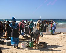 Die Ankunft am Strand.jpg