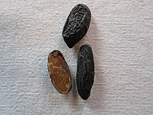 The smooth brown inside of the tonka bean The smooth brown inside of the tonka bean.jpg