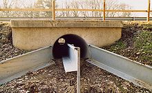 Tunnel under road for toads, Germany Toad tunnel.jpg