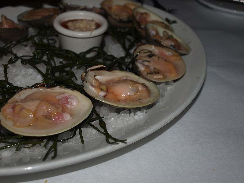 File:Top neck clams.JPG