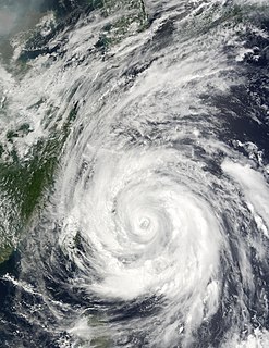Typhoon Rammasun (2002) Category 3 Pacific typhoon in 2002