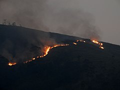 UG-LK Photowalk - 2018-03-24 - Wildfire near Kataboola (1).jpg