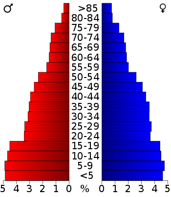 USA Cameron County, Texas age pyramid.svg