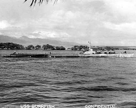 USS_Burrfish_(SS-312)