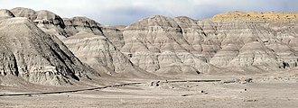 Mudstones of the Uinta Formation (Uinta "C"), Uintah County, Utah. Uinta C.jpg