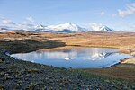 Ukok-Plateau-Kosh-Agachsky-district-raion-altai-republic-22-september-2011.jpg