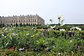 Versailles - Parterre du Midi