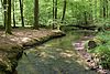 Forest pond near Bad Soden-Salmünster.jpg