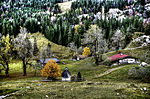 Mitteralm (Brannenburg)