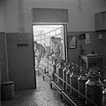 Werknemers van het melkbedrijf Tnuva van de Histadruth aan de lopende band, Bestanddeelnr 255-0214.jpg