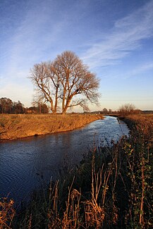 The western meadow south of Liethe