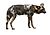 Wild Dog (Lycaon pictus) male (16394497338) white background.jpg
