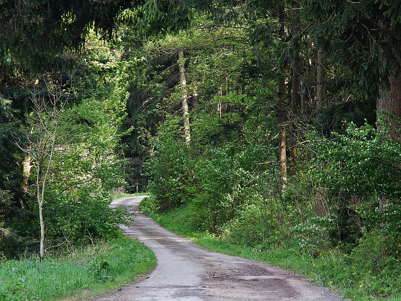 File:Witthäuleweg - panoramio.jpg