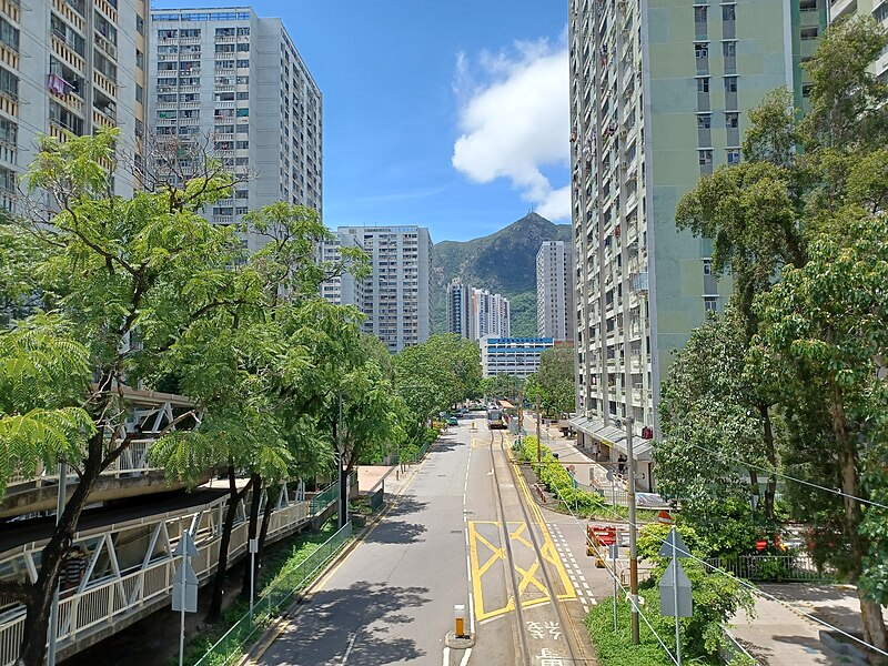 File:Yau Oi Road, Tuen Mun part 3 in August 2022.jpg