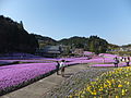 永沢寺花しょうぶ園 (2)