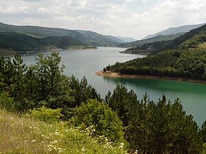 Zavoj Lake, Pirot