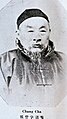 Zhang Cha (張詧), brother of Zhang Jian.