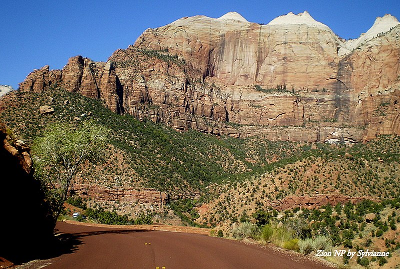 File:Zion National Park ^^ Road have matching colors with surrounds - panoramio.jpg