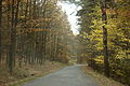 Čeština: Silnice do vesnice Újezd v Plzeňském kraji English: A road to the Újezd village in Plzeň Region, CZ