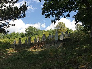 Гробиштата над Каленџиовско маало