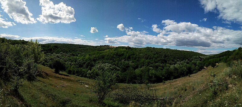 File:Ломазівські шари. Панорама річкова долина.jpg