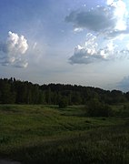 Grassland and forest running along the Barnaulka River bank