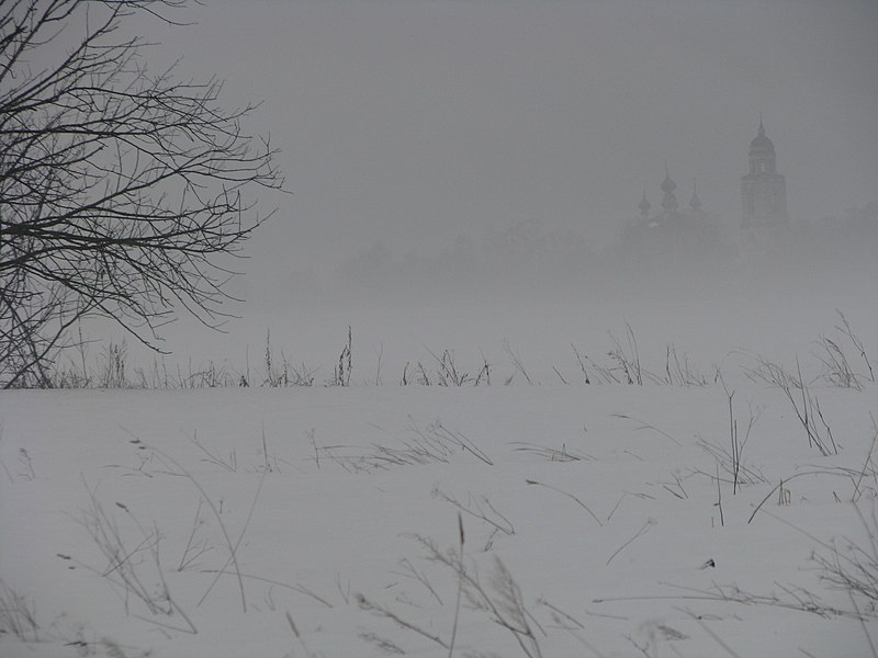 File:Церковь Рождества Богородицы село Шапкино 9.JPG