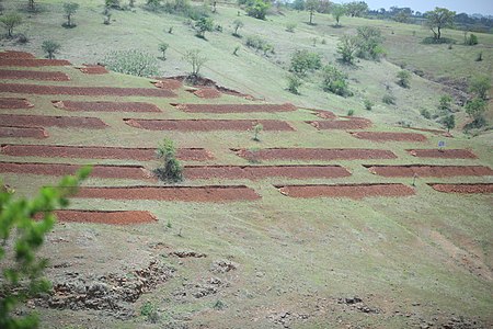 Contour trenches