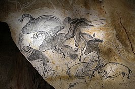 Grotte Chauvet: Beschrijving, Archeologie, Toegang