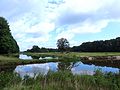 Beneden-Regge ter hoogte van Lemele