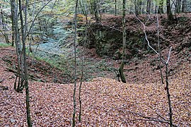 Carrière 2017-10 in Rougemont (Moffans) - 03.jpg