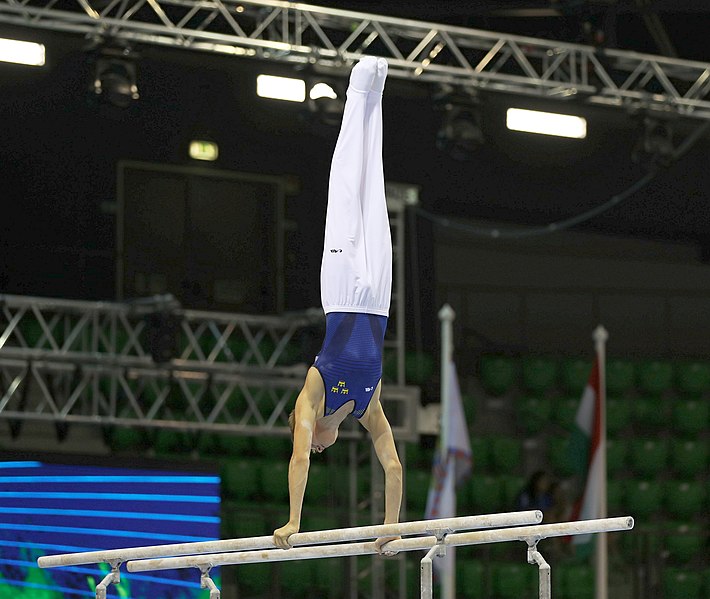 File:2019-06-27 1st FIG Artistic Gymnastics JWCH Men's All-around competition Subdivision 3 Parallel bars (Martin Rulsch) 008.jpg