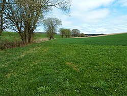 Field margins in Upper Swabia