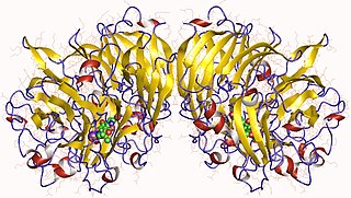 <span class="mw-page-title-main">Methanol dehydrogenase (cytochrome c)</span>