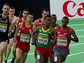 Vignette pour 1 500 mètres masculin aux championnats du monde d'athlétisme en salle 2016