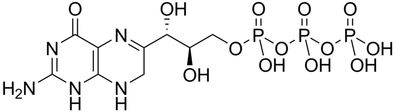 File:7,8-Dihydroneopterin triphosphate.png