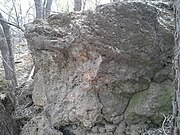 Outcrop above Turkey Creek